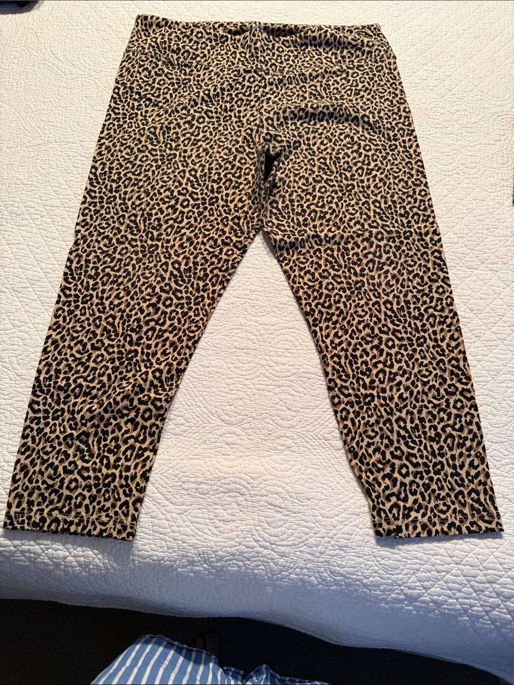 J. Crew Leopard Print Leggings in Tan and Black